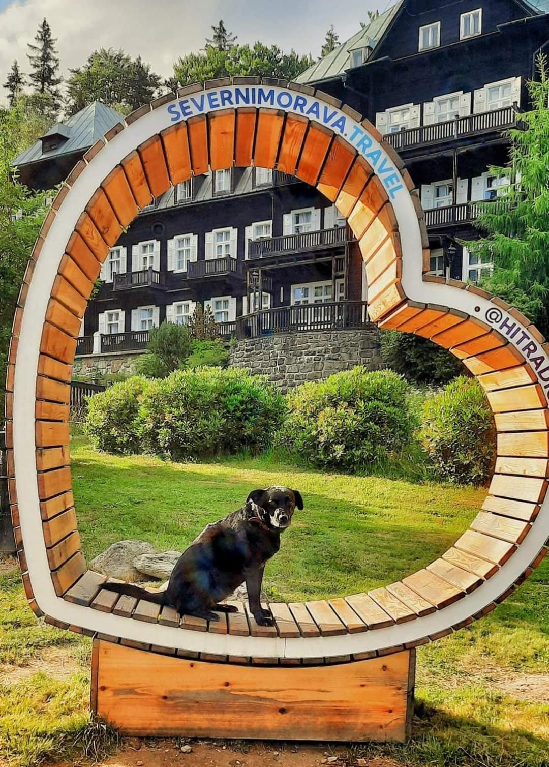 Apartman Pod Smrcinou Vaclavov u Bruntalu 외부 사진